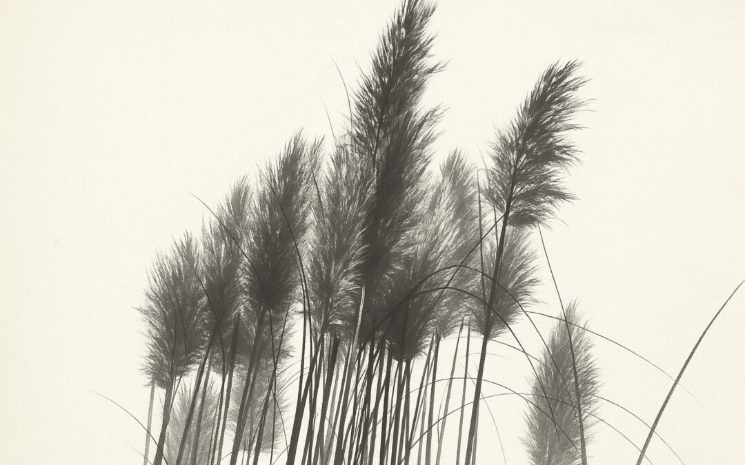 Vertrauen braucht Redlichkeit