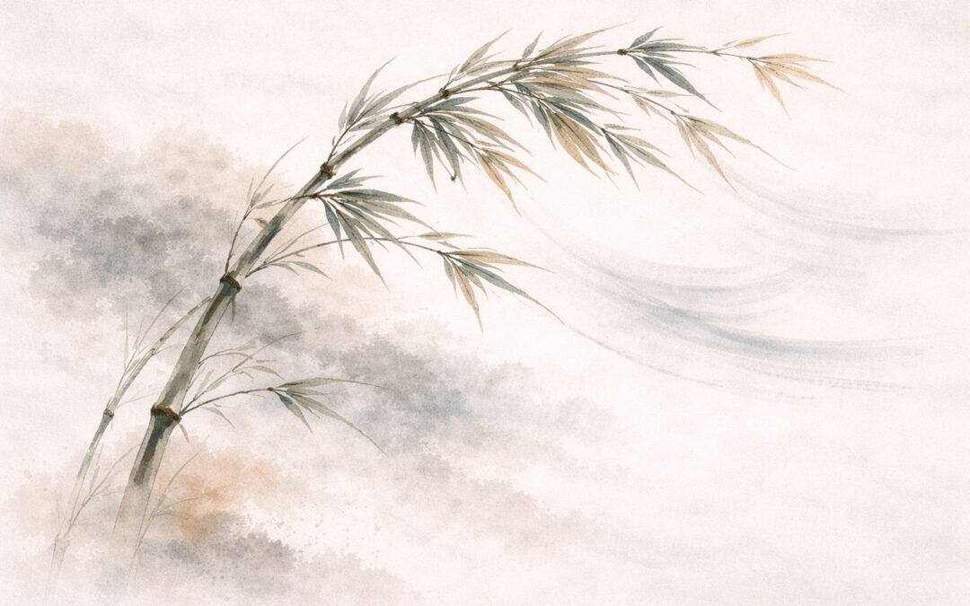 Über Spannung, Brüche und das Loslassen